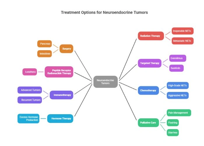 Treatment Options for Neuroendocrine Tumors